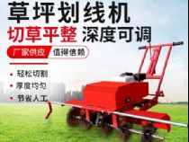 點(diǎn)擊查看詳細(xì)信息<br>標(biāo)題：草皮劃線機(jī) 閱讀次數(shù)：3095